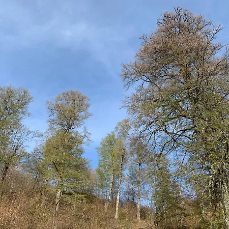 Albanian Traditional * Librazhet