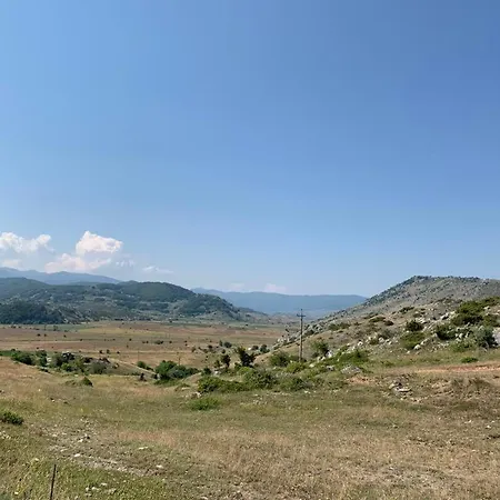 Albanian Traditional * Librazhet