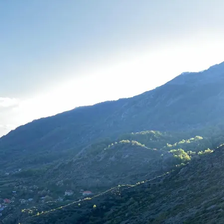 Albanian Traditional 호텔